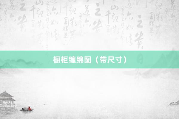 橱柜缠绵图（带尺寸）