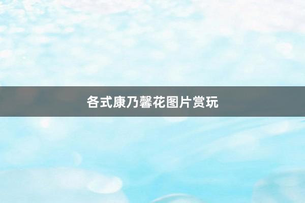 各式康乃馨花图片赏玩